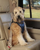 Deluxe Dog Seat Belt Harness