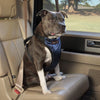 Deluxe Dog Seat Belt Harness