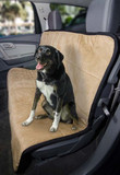 Reversible Deluxe Plush Car Reversible Plush Seat Cover by Dogpatch DesignsCover