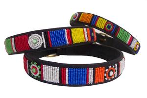 Circle Of Life Tribal Dog Collar - Oh My Dog Supply