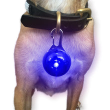 NightSpot LED Collar Light