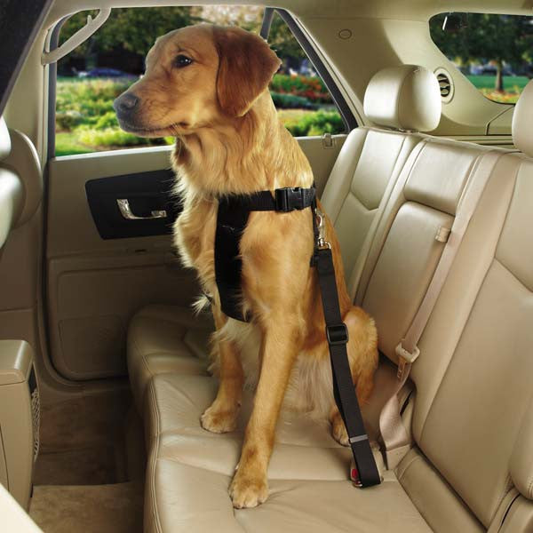 Classic Car Harness