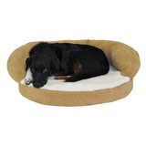 Orthopedic Performance Couch