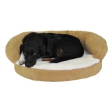 Orthopedic Performance Couch